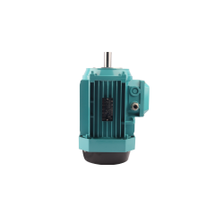 FLA2/FLF2/FLG2 series premium efficiency three phase asynchronous AC motor
